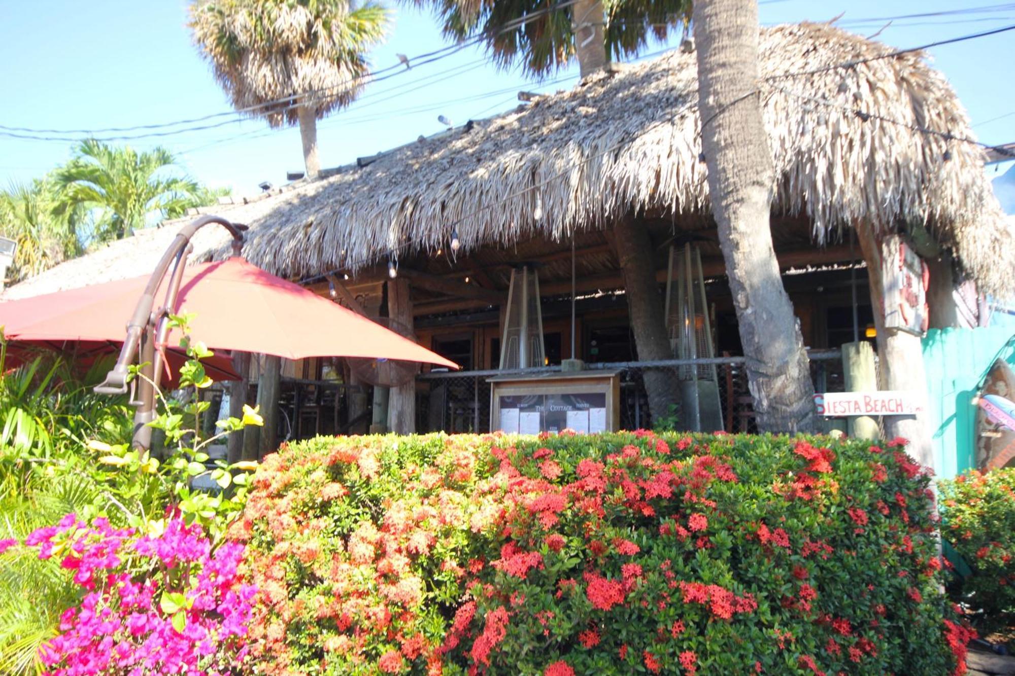 Siesta Key Haven - Beachside Pool Villa Exterior foto